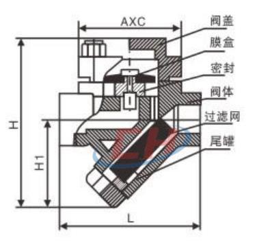 内螺纹膜盒式疏水阀结构图