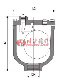 微量排气阀结构图