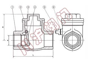 内螺纹止回阀结构图